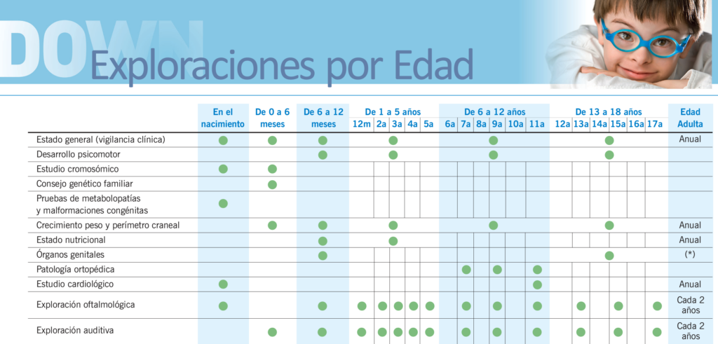 Ir a Calendario de exploraciones del Programa Español de Salud para personas con síndrome de Down