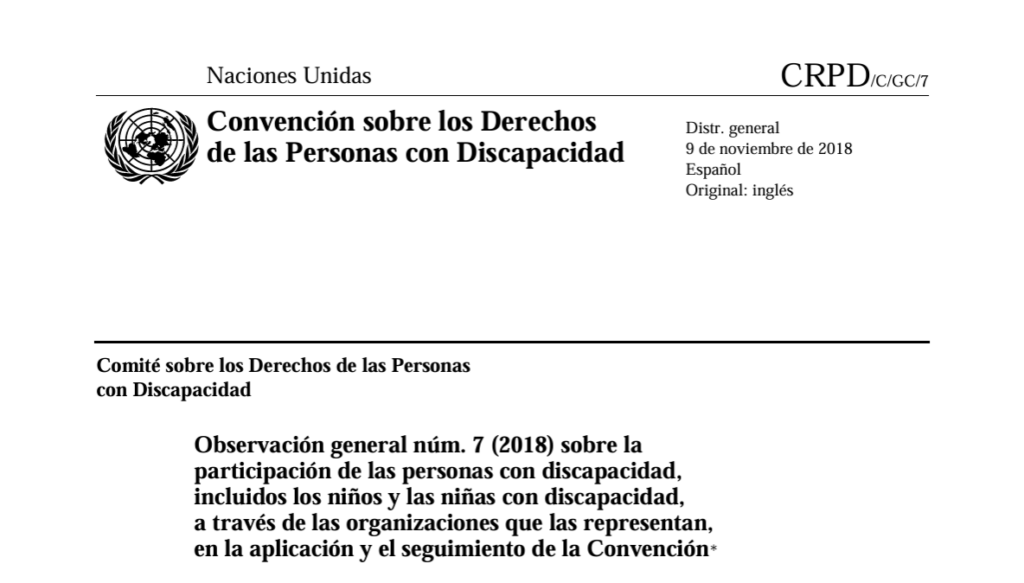 Ir a Observación general núm. 7 (2018) sobre la participación de las personas con discapacidad, a través de las organizaciones que las representan