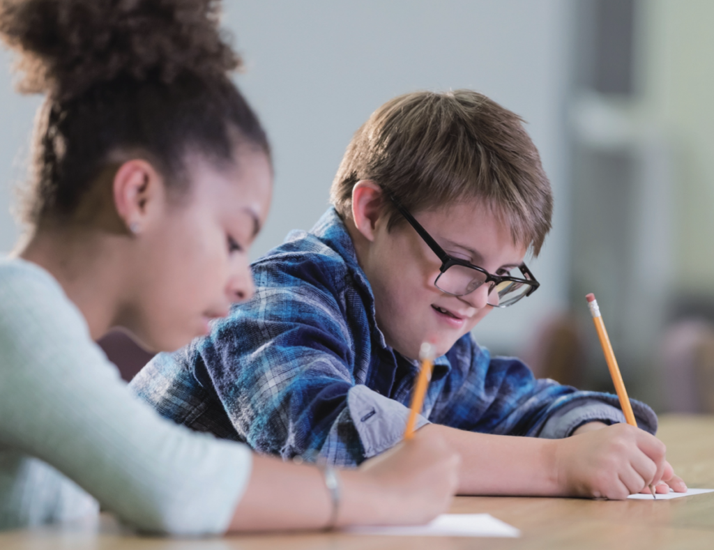 Ir a Avances en la jurisprudencia en España: derecho a la educación Inclusiva