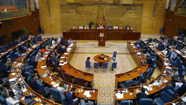 La Asamblea de Madrid instará al Gobierno de España a que cambie la ley y garantice el voto de todas las personas con discapacidad