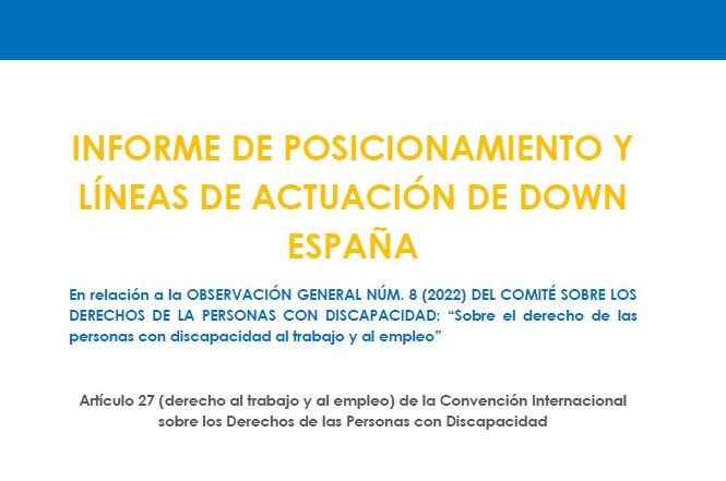 Ir a Informe de posicionamiento y líneas de actuación de DOWN ESPAÑA sobre el documento de Observaciones Generales nº8