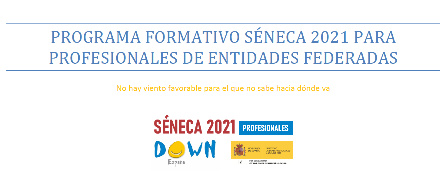 Curso Séneca para profesionales de entidades DOWN ESPAÑA