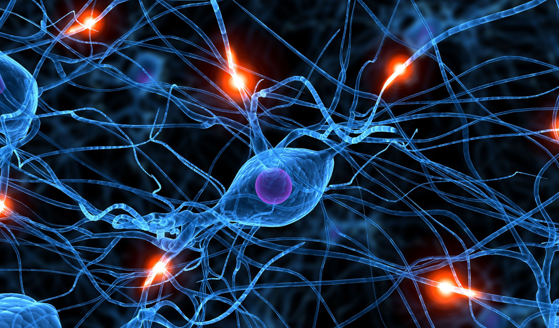 Identifican alteraciones de la corteza cerebral que podrían causar déficits en las personas con síndrome de Down